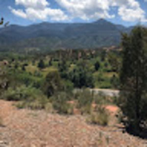 Meet your Posher, Madeline